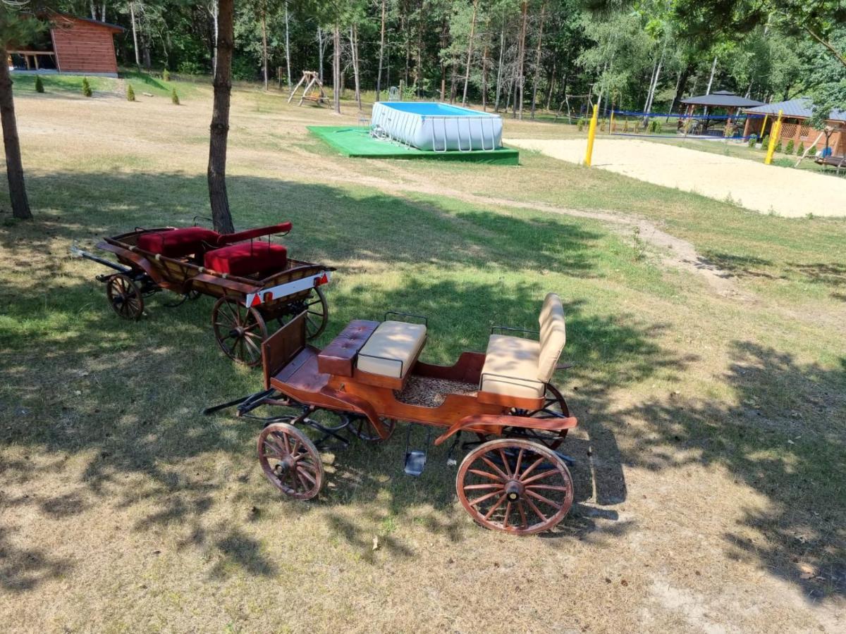Domki Wrzosowe Wzgorza Nr2 Horyniec エクステリア 写真